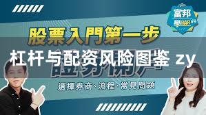 杠杆与配资风险图鉴 zy