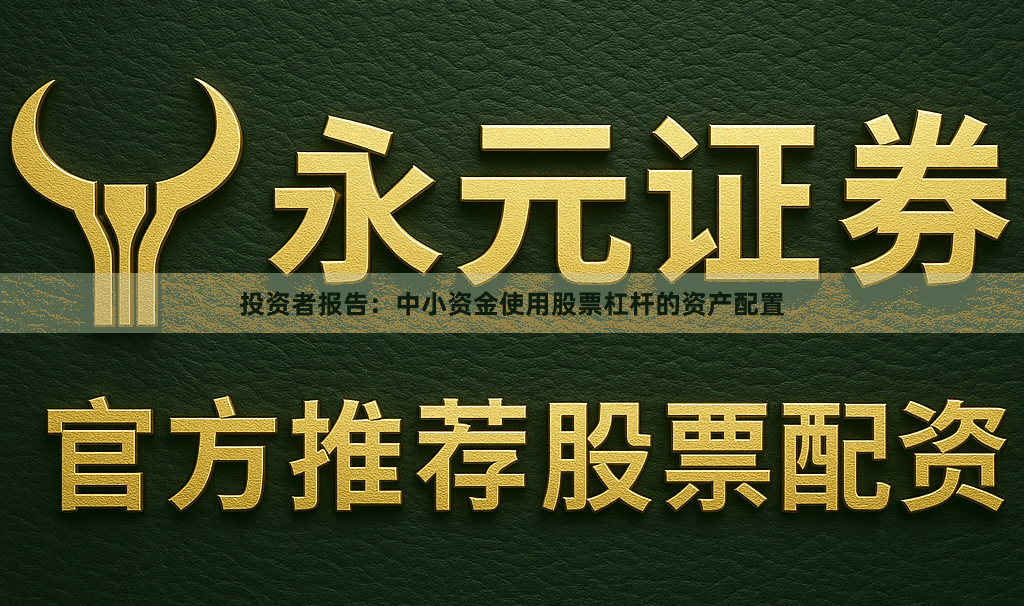 投资者报告：中小资金使用股票杠杆的资产配置